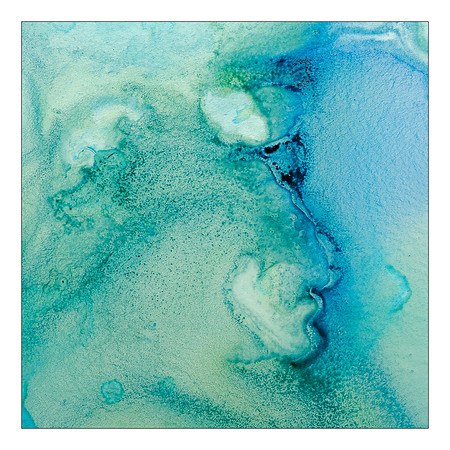 Sea Greens X