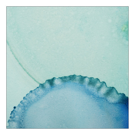 Sea Greens III
